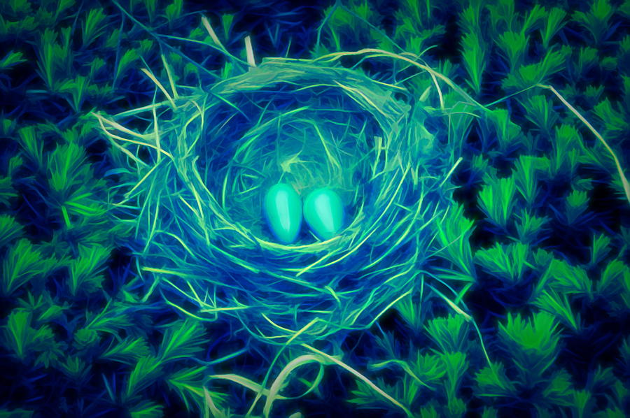 Glow in the Dark Robins Nest Photograph by Aimee L Maher ALM GALLERY