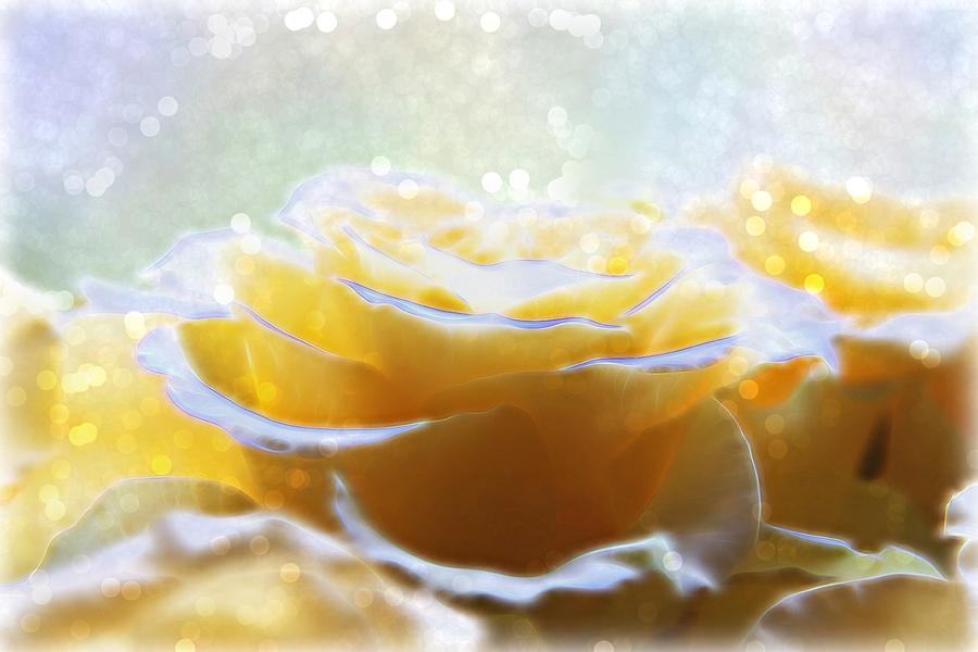 Glow of the Rose Digital Art by Lilia S