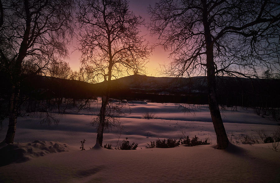 Glow Photograph by Pekka Sammallahti