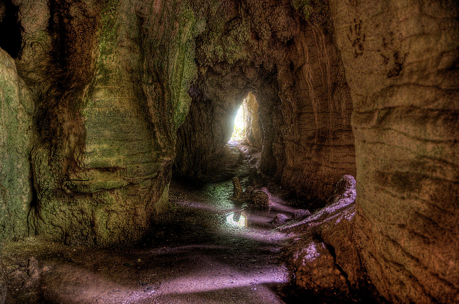 Glow Worm Cave Photograph by Andrew Dickman