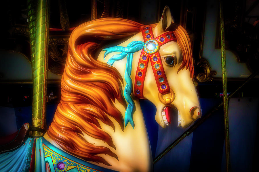 Glowing Carrousel Horse Photograph by Garry Gay