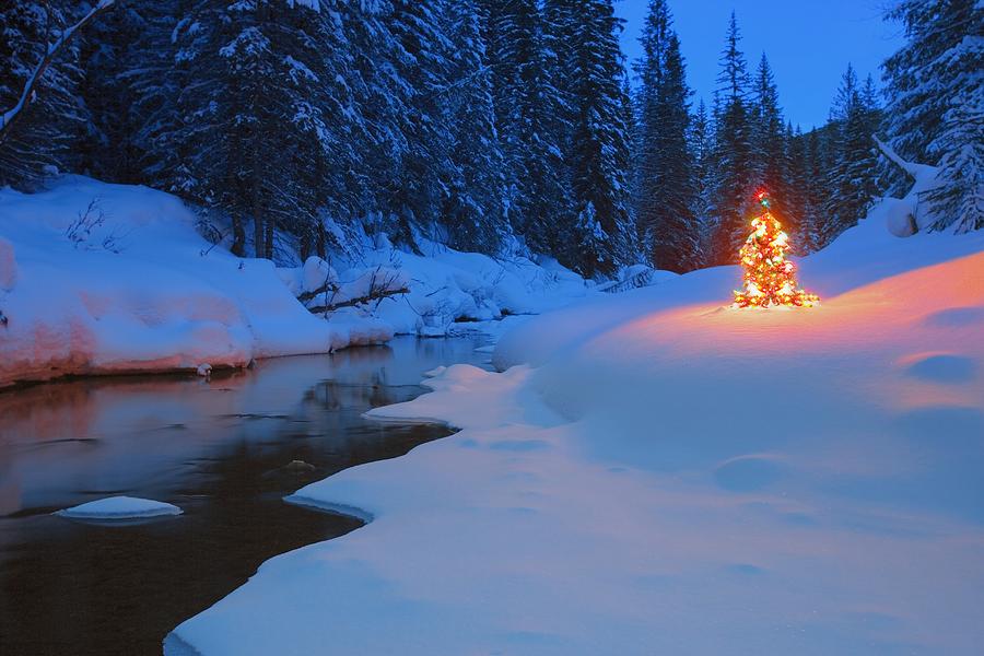 Nature Photograph - Glowing Christmas Tree By Mountain by Carson Ganci