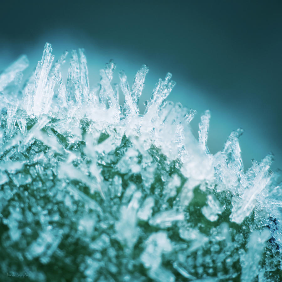  Glowing Crystals  Photograph by Wim Lanclus