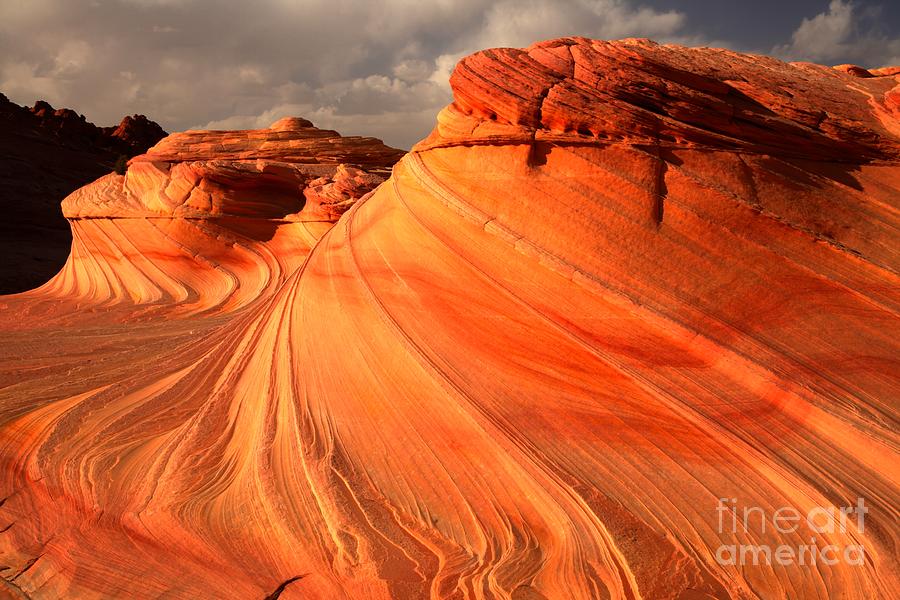 Glowing Desert Dragon Photograph by Adam Jewell