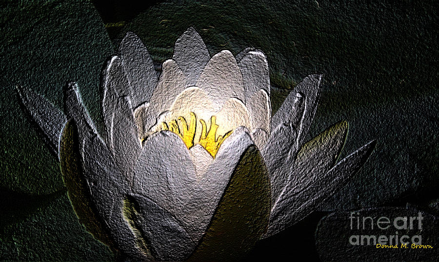 Water Lily Photograph - Glowing by Donna Brown