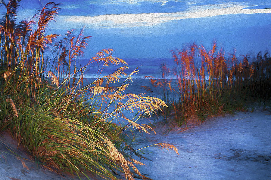 Beach Digital Art - Glowing Dunes Before Sunrise on the Outer Banks AP by Dan Carmichael