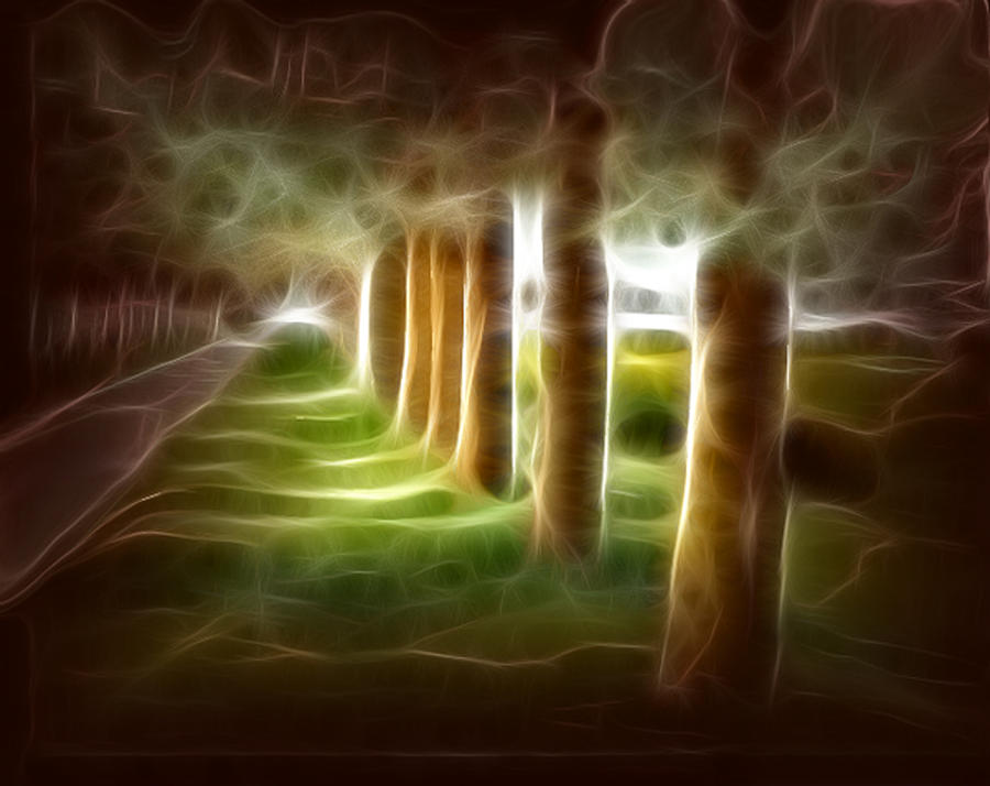 Summer Digital Art - Glowing Forest by Carola Ann-Margret Forsberg