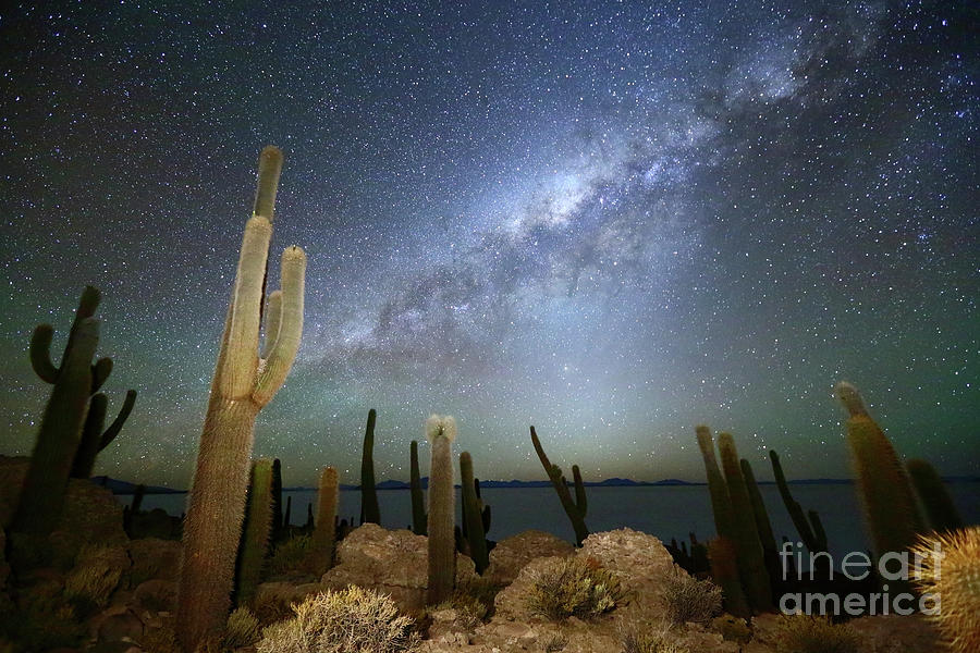 Glowing Heavens Above Cacti on Incahuasi Island Bolivia Photograph by James Brunker