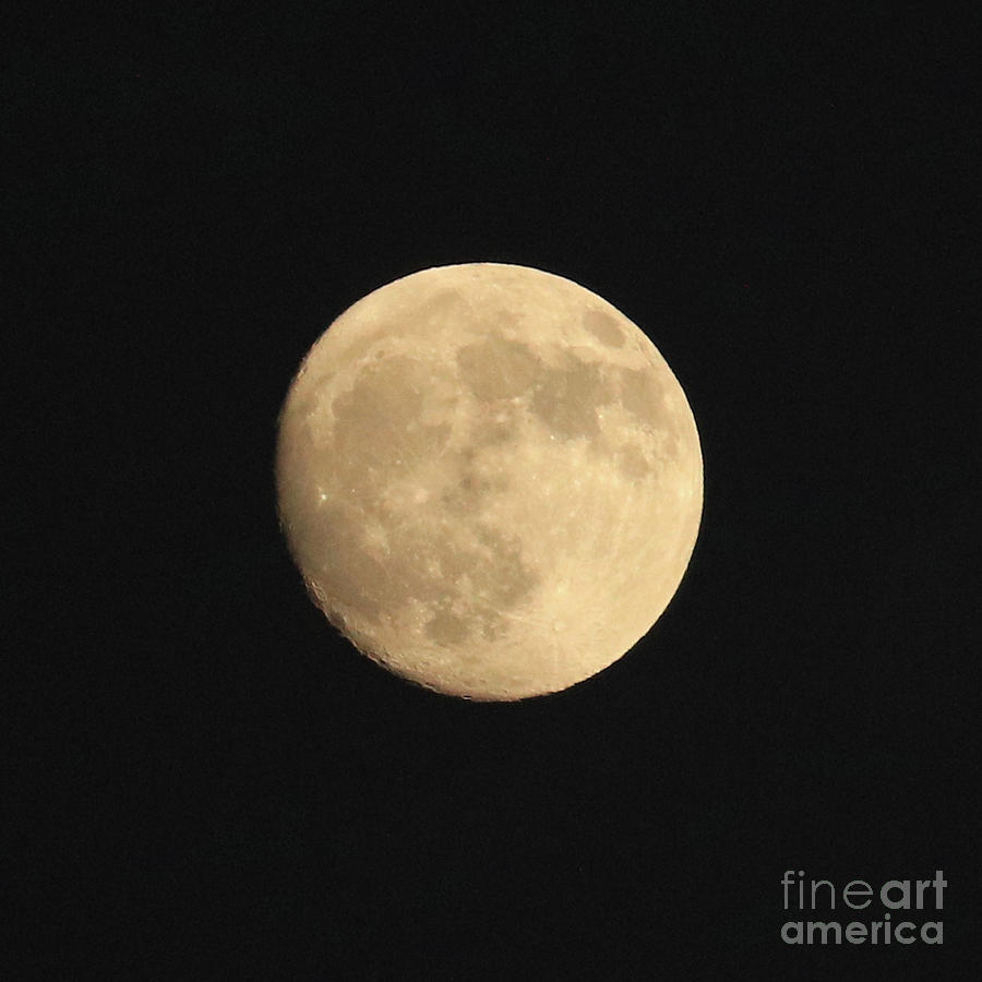Glowing Moon Photograph by Carol Groenen