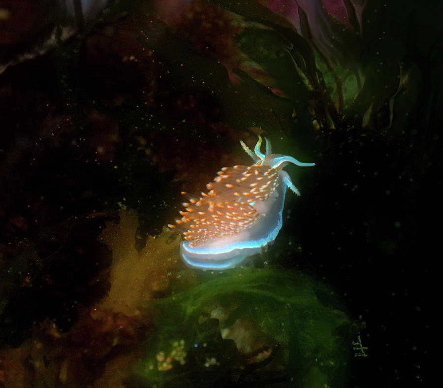 Glowing Nudibranch Photograph by Adria Trail