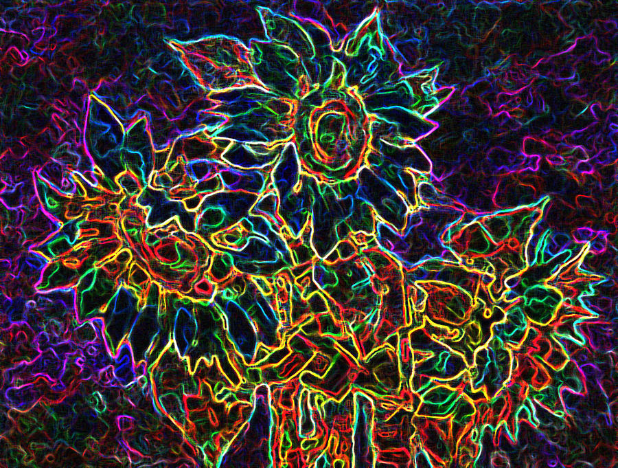 Nature Digital Art - Glowing Sunflowers by Iliyan Bozhanov Nature Digital Art - Glowing Sunflowers by Iliyan Bozhanov