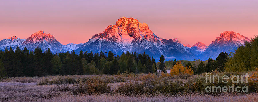 GLowing Tetons Over The Trees Photograph by Adam Jewell
