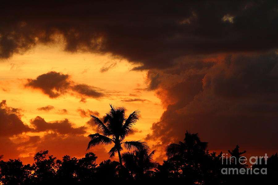 Glowing Tropical Sunset Photograph by Christiane Schulze Art And Photography
