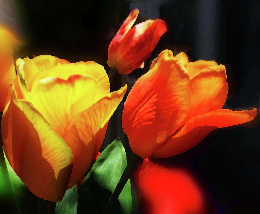 Glowing Tulips Red And Yellow Bouquet Digital Art