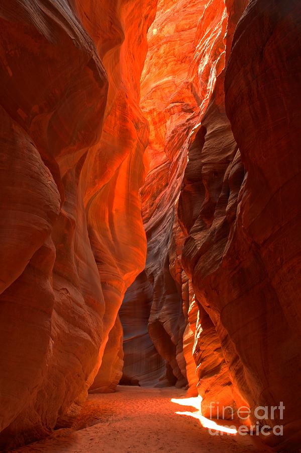 Slot Canyon Photograph - Glowing Walls Of Buckskin Gulch by Adam Jewell