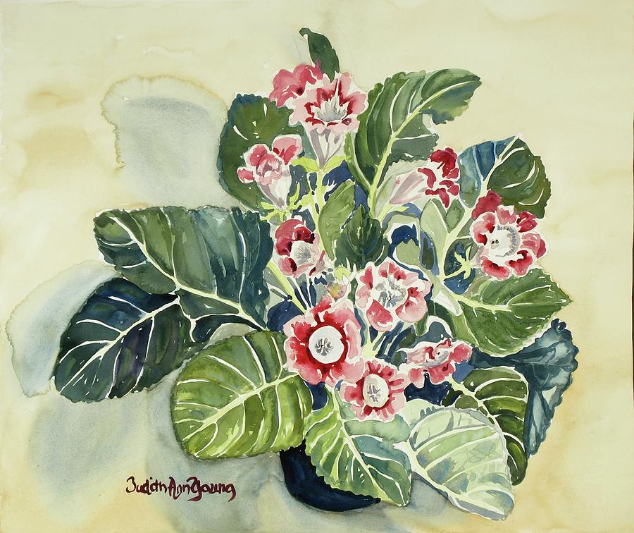 Gloxinia  SOLD Painting by Judith Young
