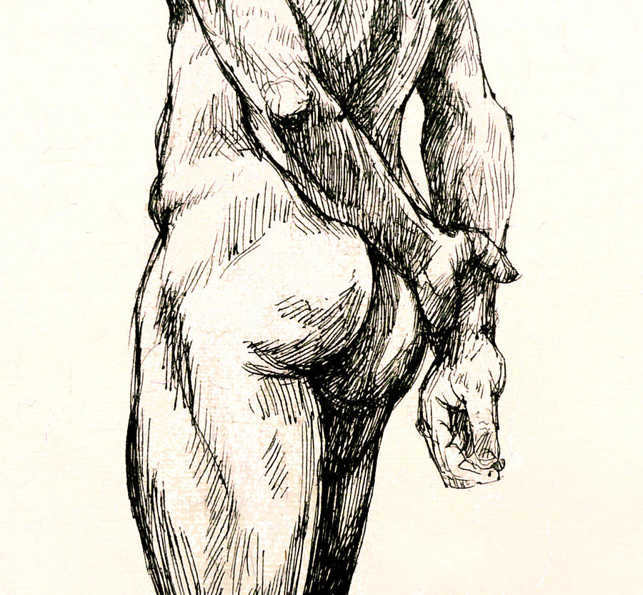 Male Nudes Drawing - Gluteus Maximus by Roz McQuillan