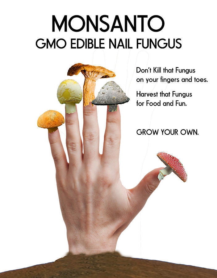 Gmo Nail Fungus Photograph