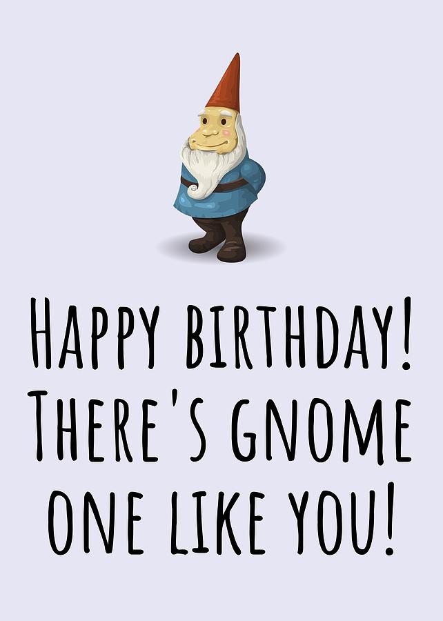 Gnome Birthday Card - Garden Gnome Birthday - There's Gnome One Like Y...