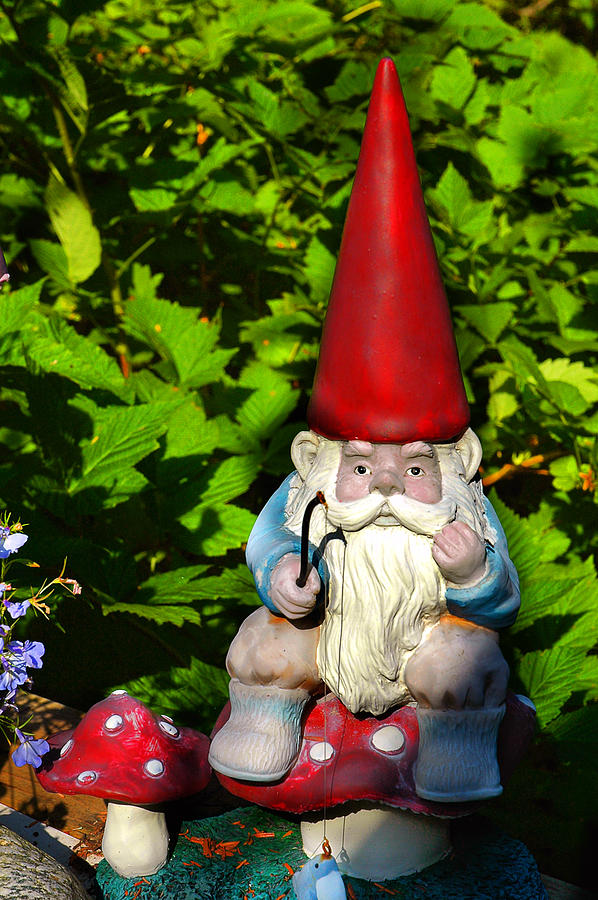 Gnome Fishing Photograph by Harry Spitz