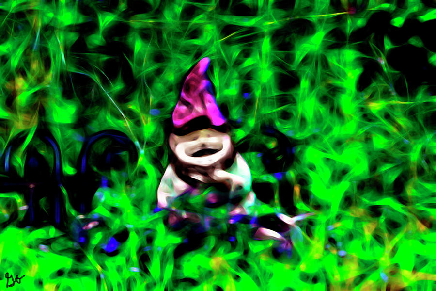 Gnome Photograph by Gina OBrien
