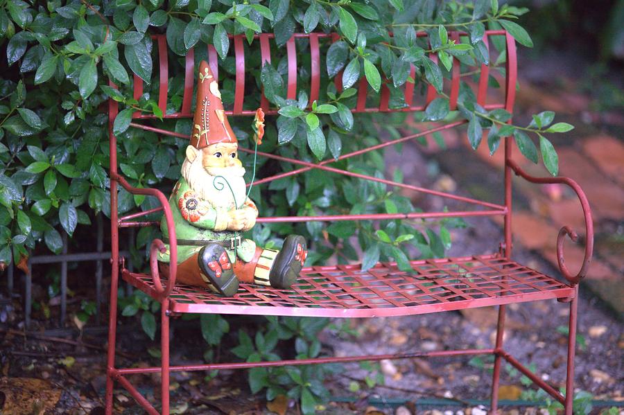 Gnome on a Bench Photograph by Gordon Elwell