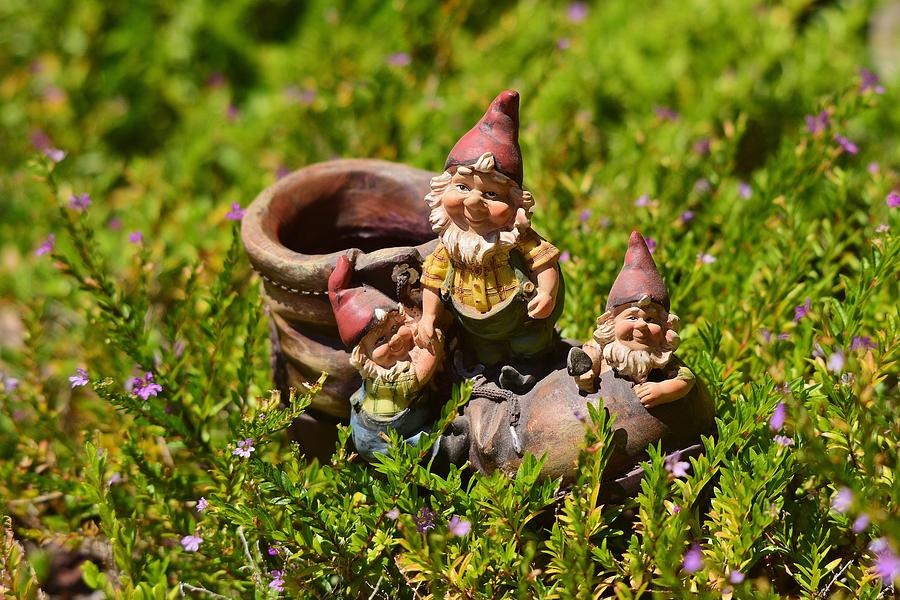 Gnomes on a Shoe 1 Photograph by Linda Brody