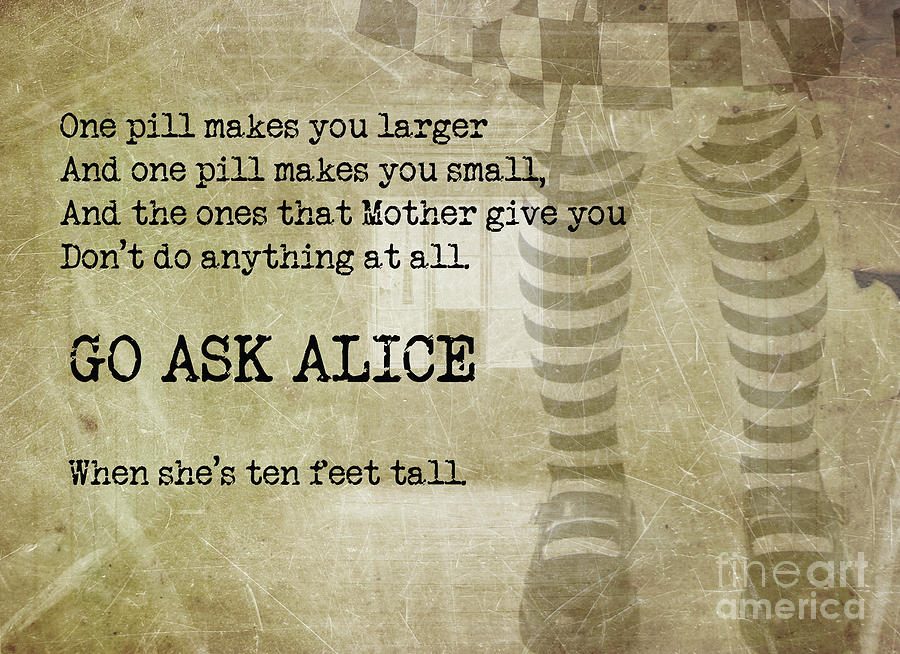 Go Ask Alice Photograph by Juli Scalzi