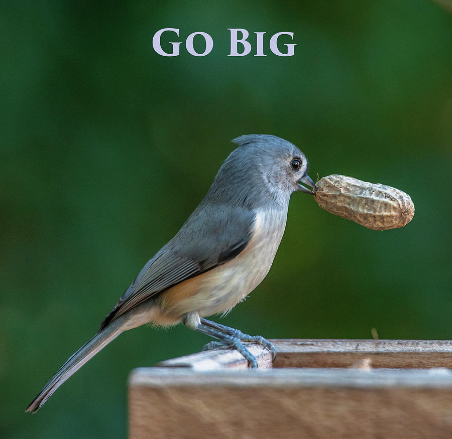 Go Big Photograph by Jim Moore