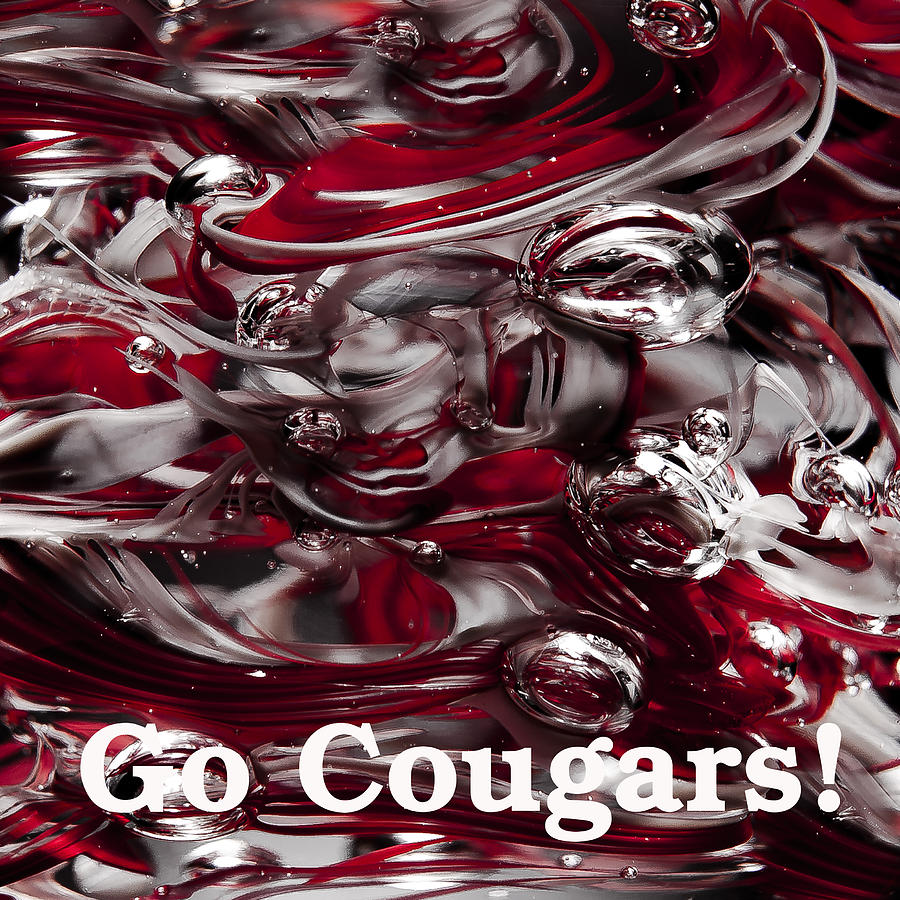 Go Cougars Photograph by David Patterson
