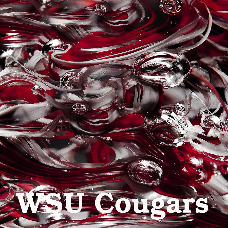 Go Cougars - WSU Photograph by David Patterson