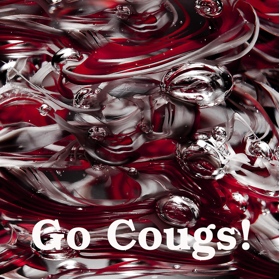 Go Cougs Photograph by David Patterson