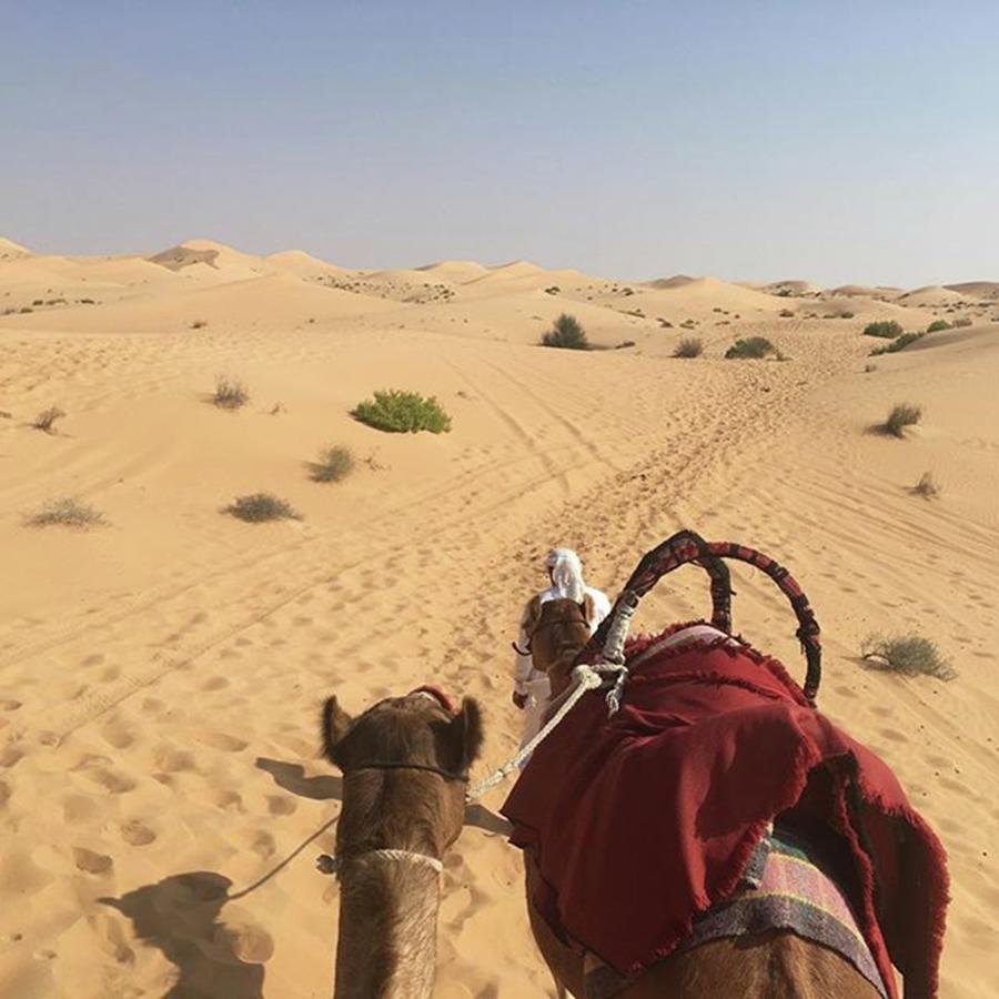 Camel Photograph - Go Desert Ways Riding On Camel
#camel by T Hirano 