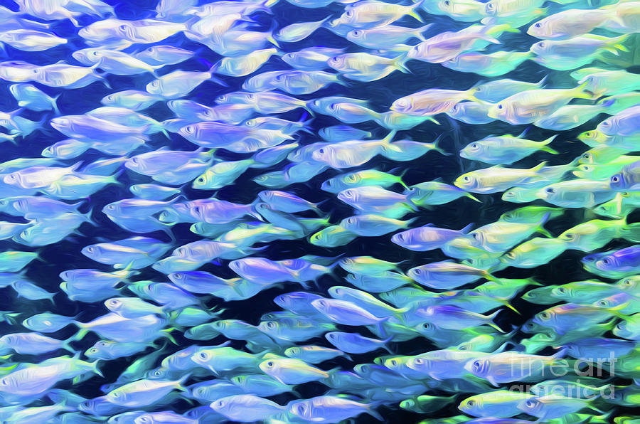 Go Fish - Digital Art Photograph by Kathleen K Parker