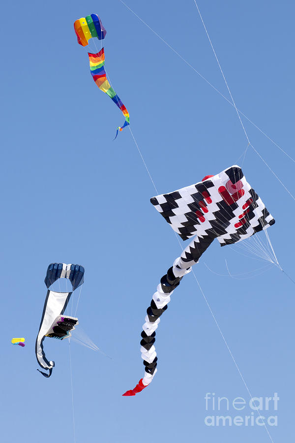 Go Fly a Kite Photograph by Anthony Totah