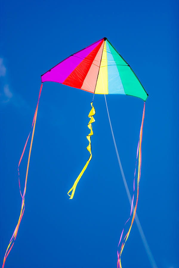 Go Fly a Kite Photograph by Mike Hendren - Fine Art America