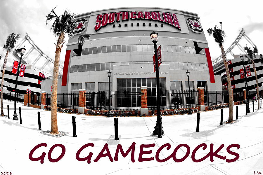 Go Gamecocks Photograph by Lisa Wooten