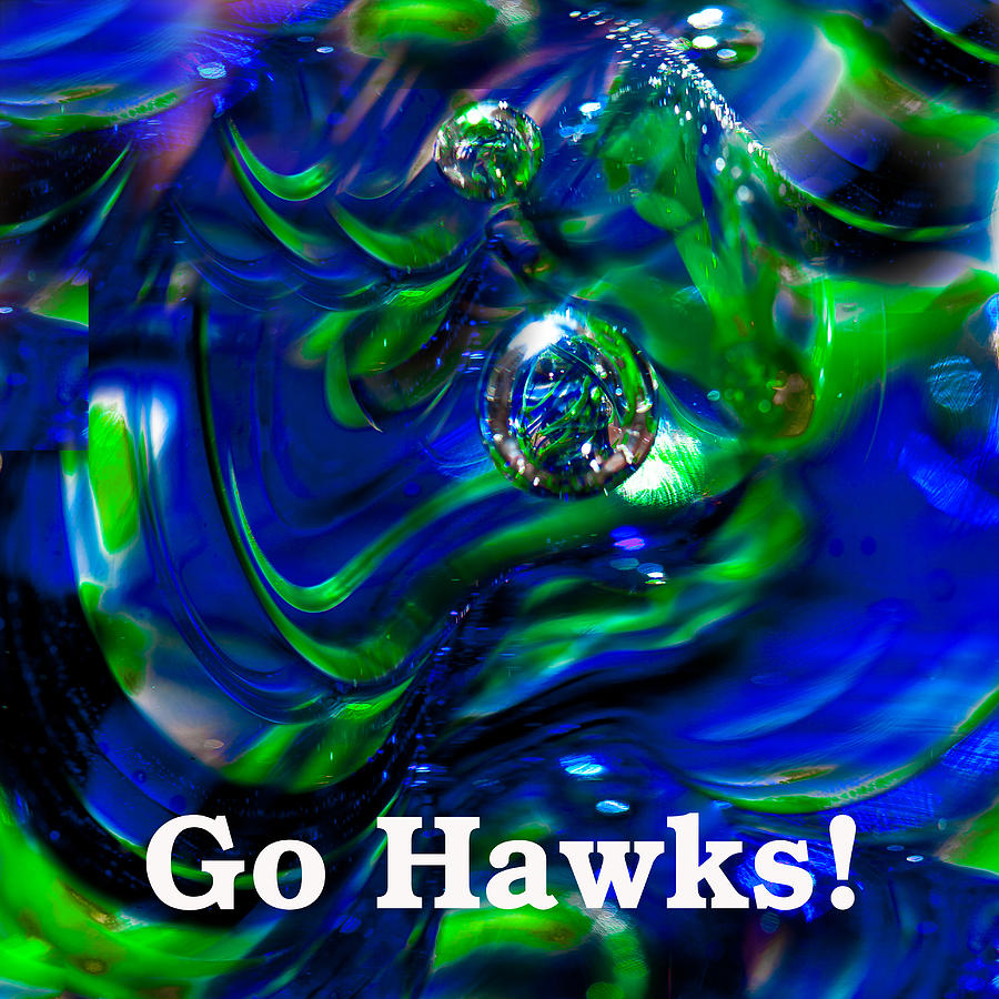 Go Hawks Photograph by David Patterson