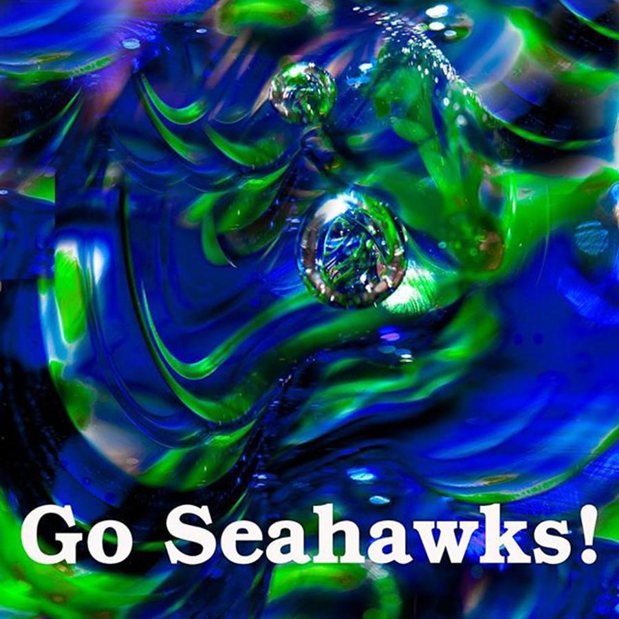 Go Seahawks Poster Photograph by David Patterson