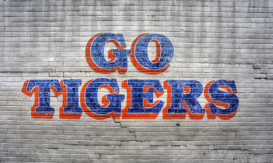 Go Tigers Photograph by JC Findley