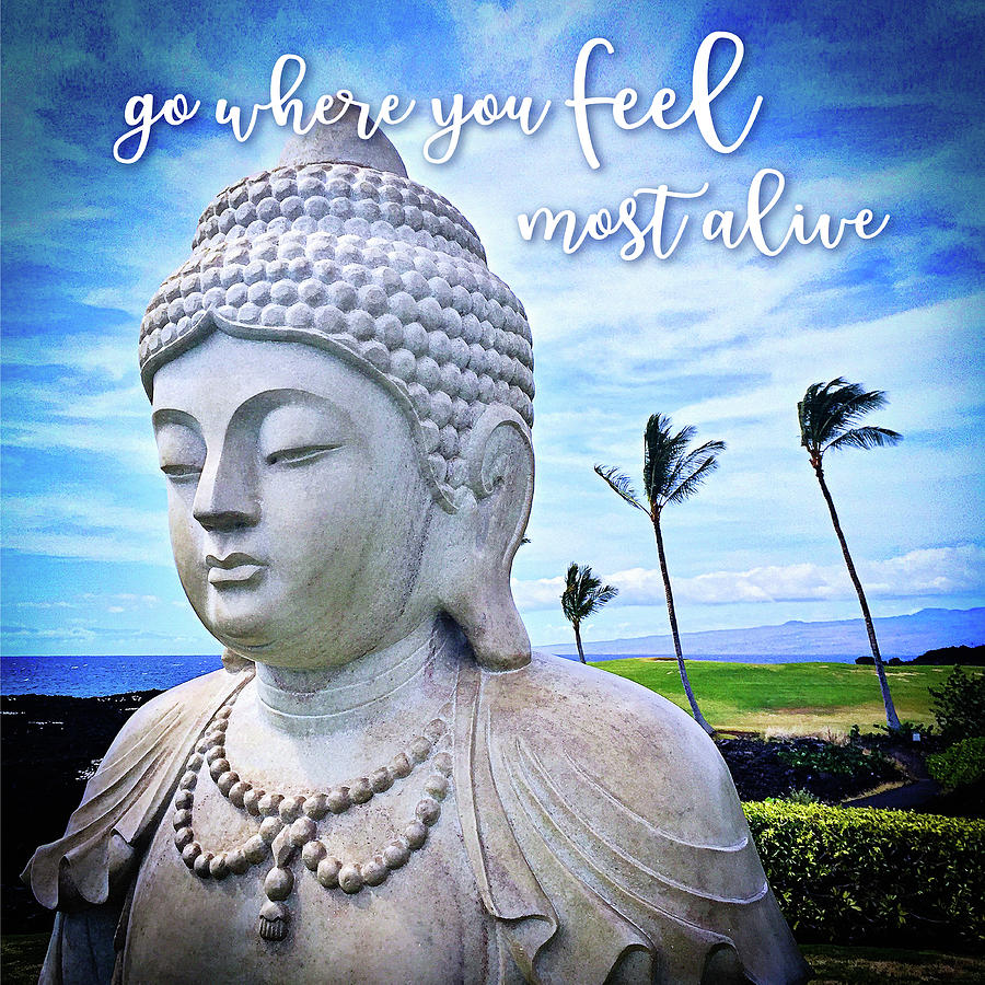 Typography Photograph - Go where you feel most alive Hawaiian white Buddha by Marcia Luce at Luceworks