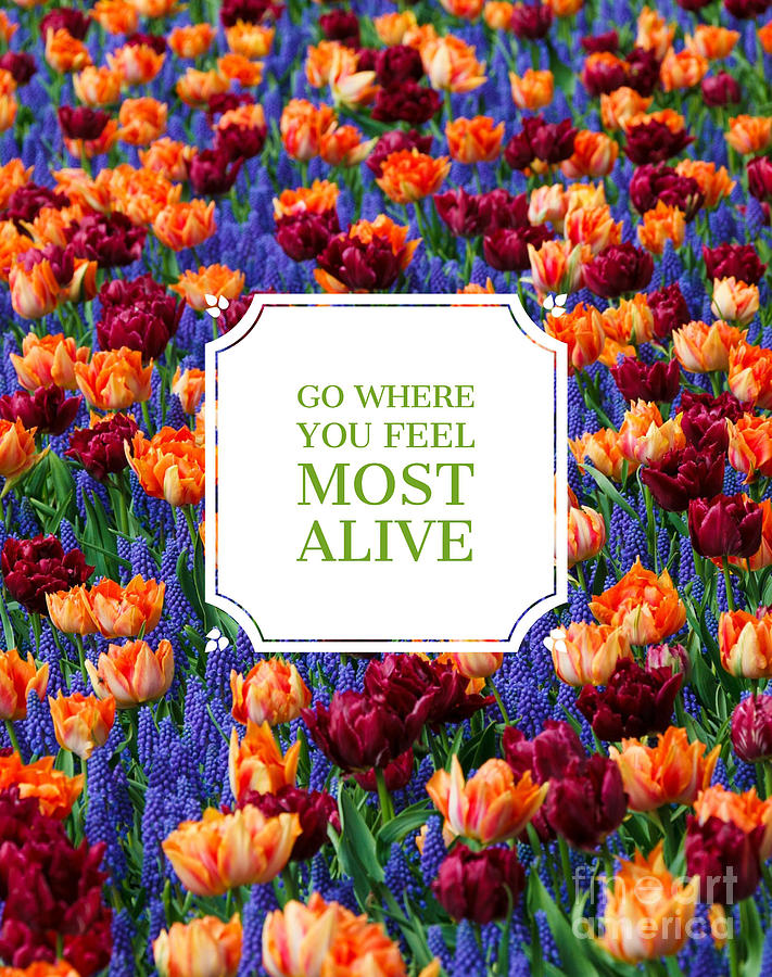 Flower Photograph - Go Where You Feel Most Alive poster by Edward Fielding