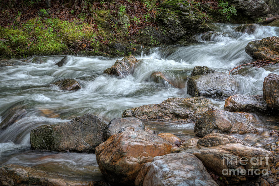 Go with the Flow by Larry McMahon Go with the Flow by Larry McMahon
