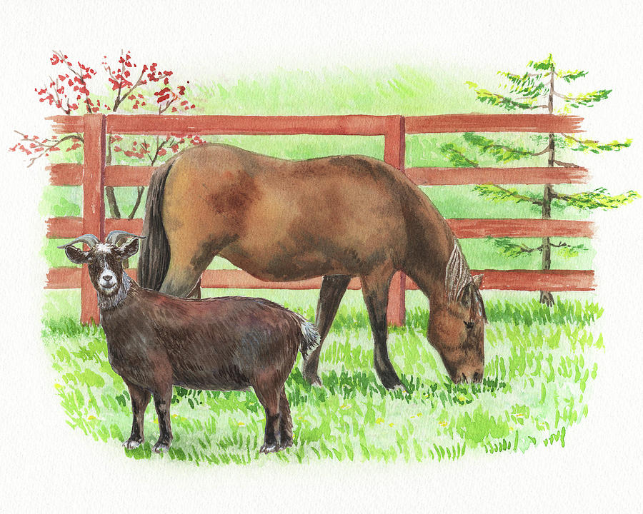Goat And Horse On The Farm  Painting by Irina Sztukowski