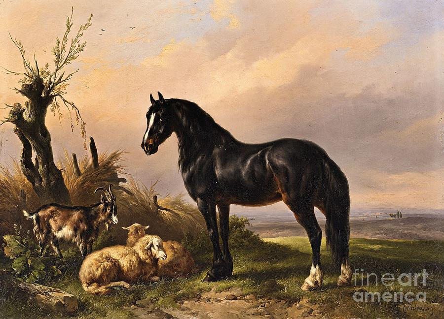 Goat and Sheep in an Open Landscape Painting by MotionAge Designs