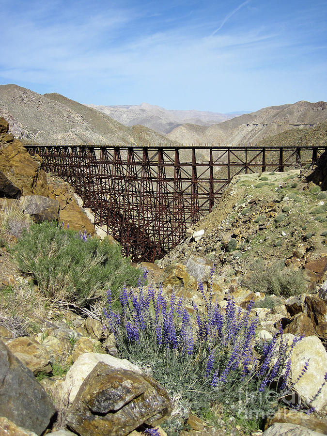 Goat Canyon Trestle Photograph by Baywest Imaging