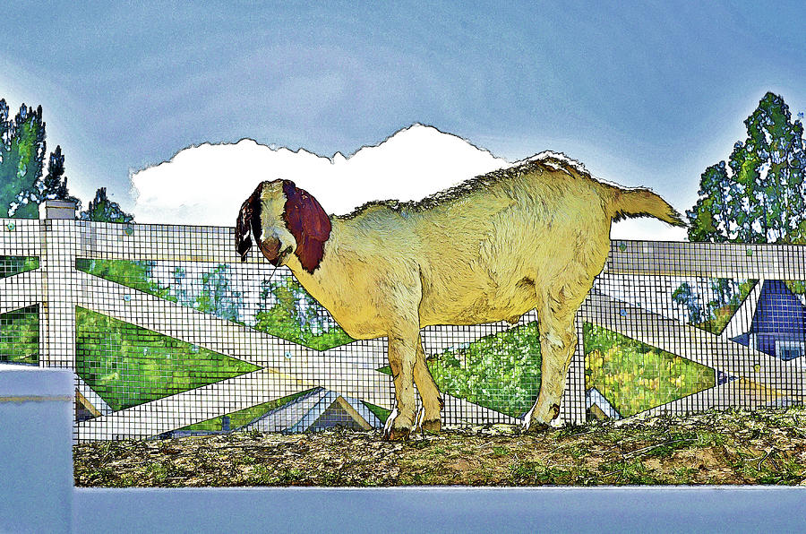 Goat Eating I  Digital Art by Linda Brody