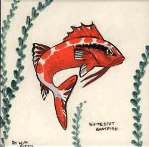 Fish Painting - Goat Fish by Dy Witt