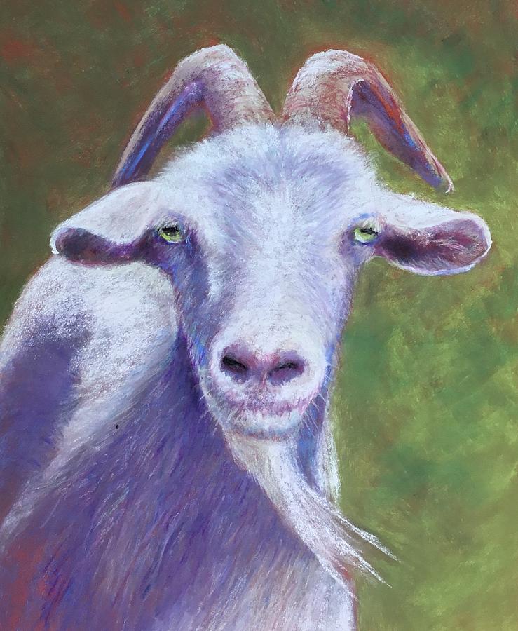 Goat Pastel by Michelle Spencer - Fine Art America