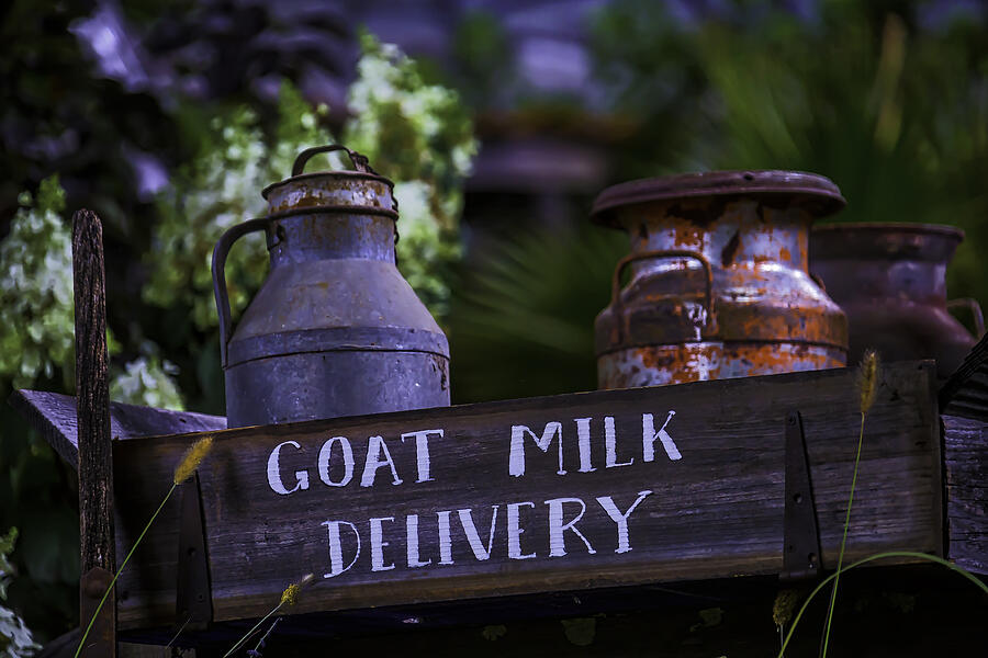 Still Life Photograph - Goat Milk Delivery by Garry Gay